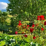 別荘 Maison Des 2 Grottes